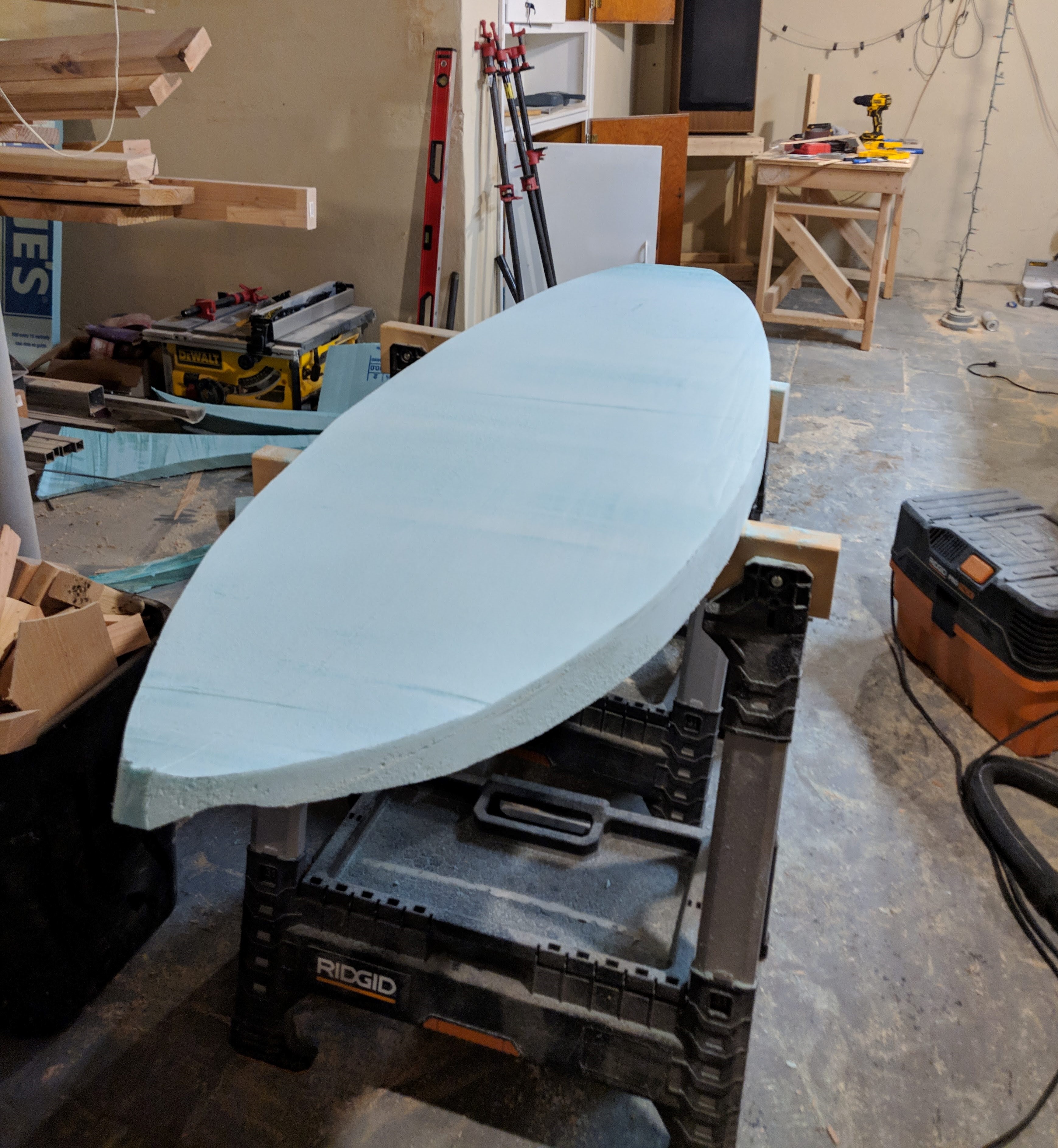 Outline and rocker cut — tail view
